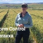 Reddy Book 247 Review: Secure Online Betting Platform, Features, and Future Outlook